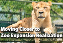 Moving Closer to Zoo Expansion Realization