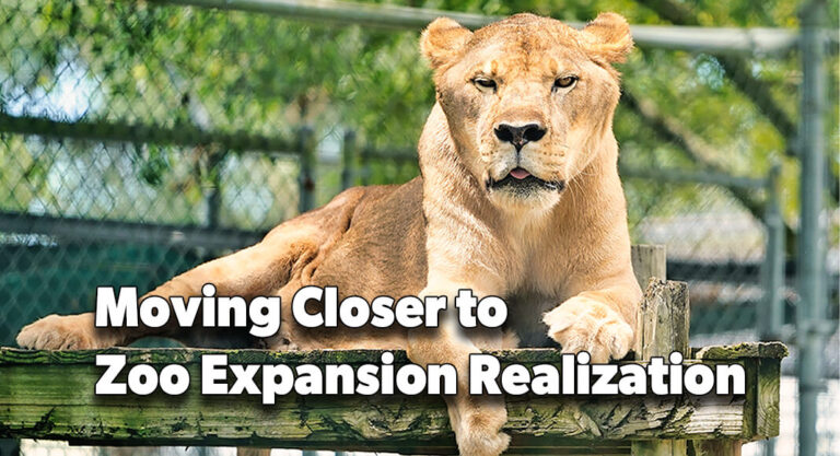 Moving Closer to Zoo Expansion Realization 