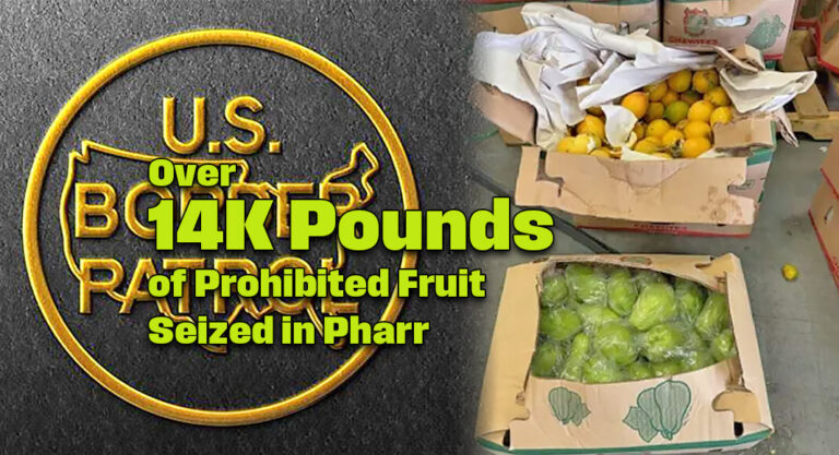 CBP Seizes Over 14K Pounds of Prohibited Fruit in Pharr