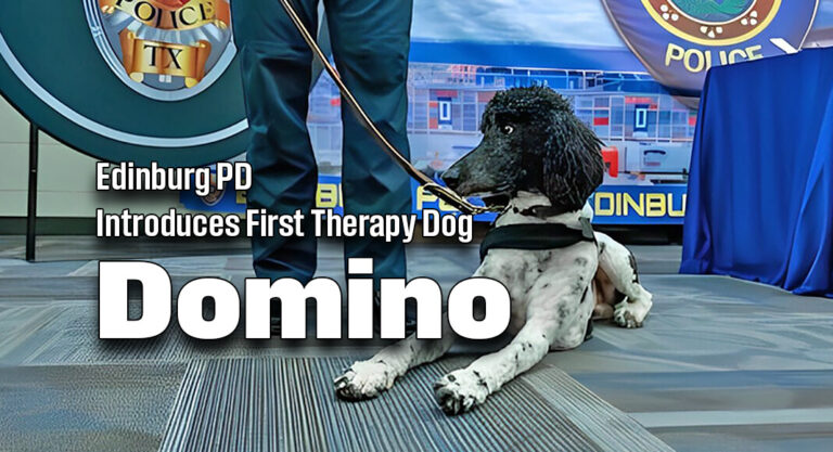 Edinburg PD Welcomes First Therapy Dog, Domino