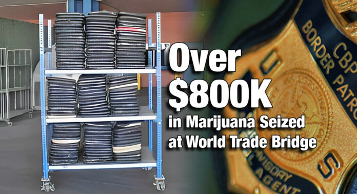 CBP Officers Seize Over $800K in Marijuana at World Trade Bridge ...