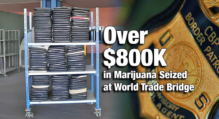 CBP Officers Seize Over $800K in Marijuana at World Trade Bridge