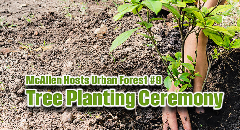McAllen Hosts Urban Forest #9 Tree Planting Ceremony