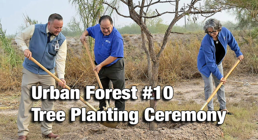 The McAllen Urban Forest Initiative began in May of 2022 with the first Urban Forest planted at Frontage Park.  Since then, the McAllen Parks & Recreation Horticulture division has led the planting of eight urban forest through volunteers, donations, and project funding. Image Source: Facebook 