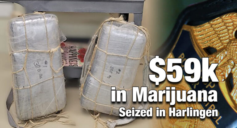 Over $59k in Marijuana Seized in Harlingen