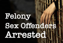 Laredo CBP Officers Apprehend Two Men Wanted on Felony Sex Offenses