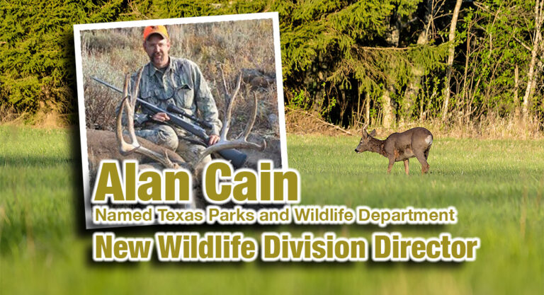Alan Cain Named New Wildlife Division Director