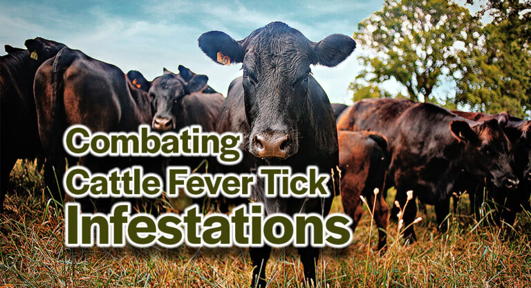 Cornyn, De La Cruz Introduce Bill to Combat Cattle Fever Tick Infestations