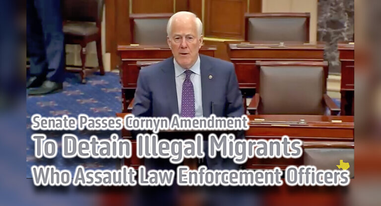 Amendment to Detain Illegal Migrants who Assault Law Enforcement Officers Passes Senate
