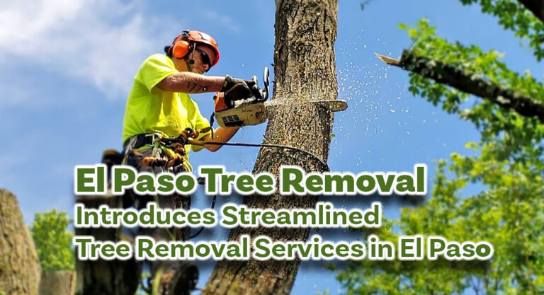 El Paso Tree Removal Introduces Streamlined Tree Removal Services in El Paso