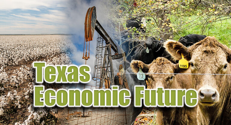 The Future of the Texas Economy