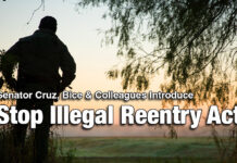 Sens. Cruz, Rep. Bice, Colleagues Introduce Stop Illegal Reentry Act