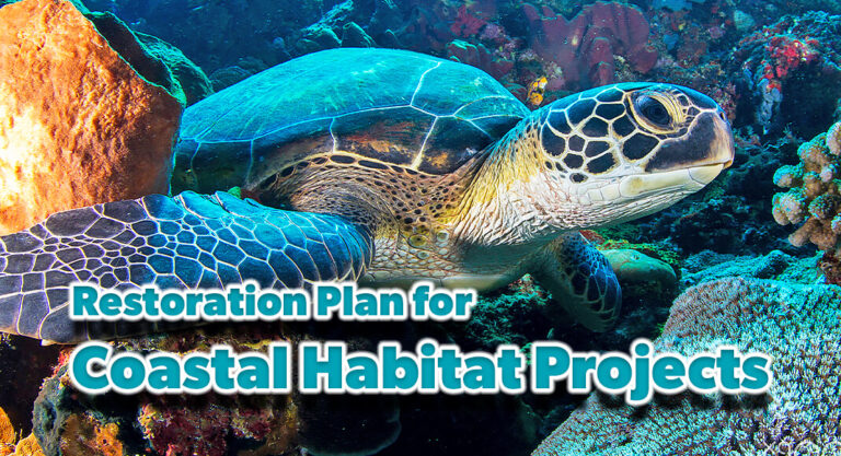 Seeking Public Comment on $40M Draft Restoration Plan for Coastal Habitat Projects