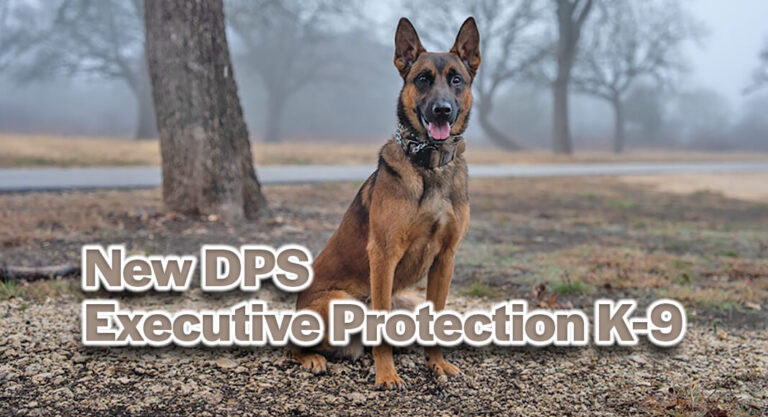New DPS Executive Protection K-9