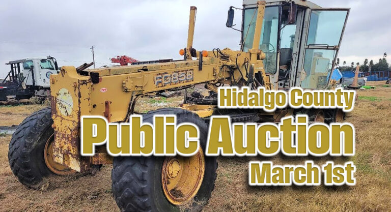 Hidalgo County Public Auction, March 1st