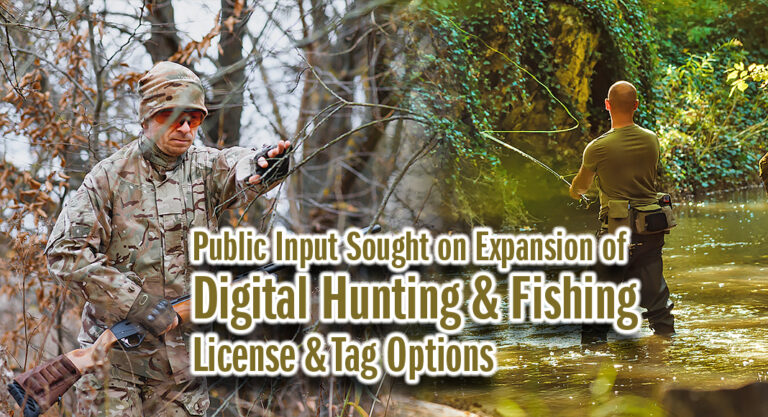 Public Input Sought on Expansion of Digital Hunting & Fishing License and Tag Options