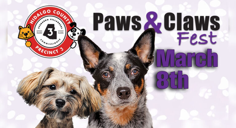 “Paws & Claws Fest” to Support Yaqui Animal Rescue, March 8th
