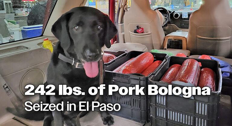 El Paso CBP Seizes 242lbs. of Pork Bologna
