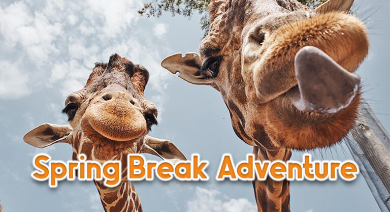 Visit the El Paso Zoo & Botanical Gardens During Spring Break