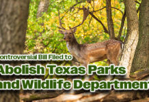 Controversial Bill Filed to Abolish Texas Parks and Wildlife Department