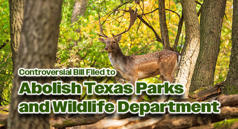Controversial Bill Filed to Abolish Texas Parks and Wildlife Department
