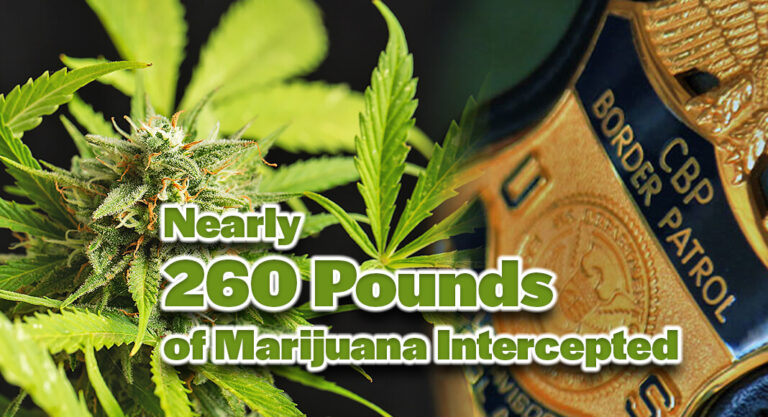 Brownsville CBP Intercepts Nearly 260 Pounds of Marijuana 