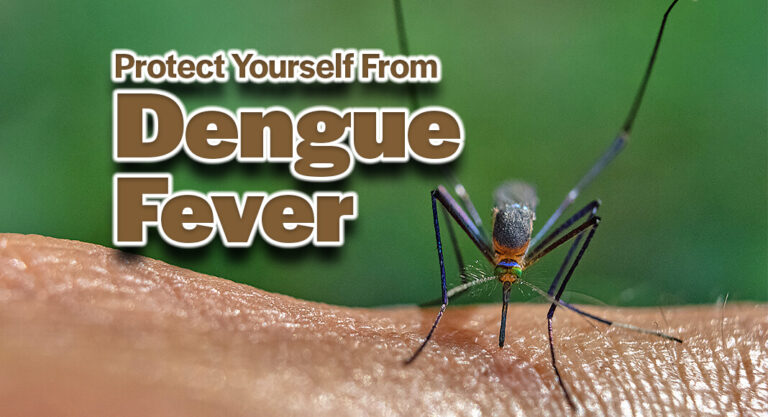 STHS Urging Valley Residents to Take Measures to Prevent the Threat of Dengue Fever