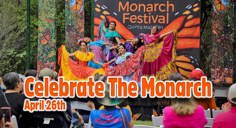 Quinta Mazatlán Monarch Festival, April 26th