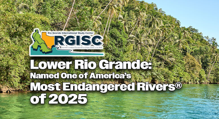 Lower Rio Grande: One of America’s Most Endangered Rivers® of 2025