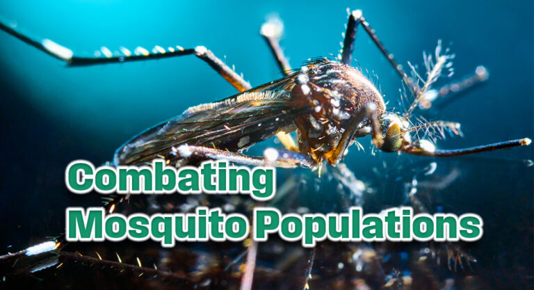Taking Action to Combat Mosquito Populations