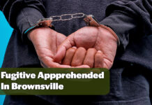 Brownsville CBP Officers Apprehend Fugitive