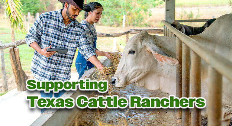 Sens. Cruz, Cornyn, Rep. Jackson Introduce Bill to Support Texas Cattle Ranchers Recover from Natural Disasters
