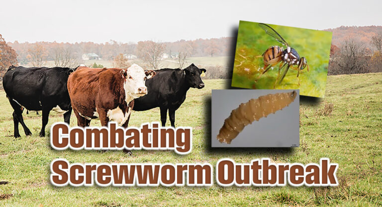 Cornyn, Senate Colleagues, Gonzales Introduce Bill to Combat Devastating Screwworm Outbreak