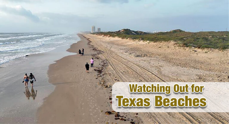 Utilizing the Texas Beach Watch Program During 2025 Beach Season
