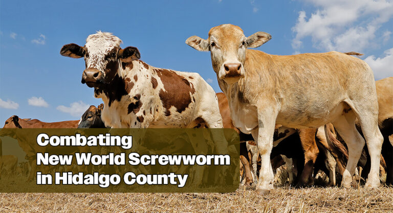 De La Cruz Advocates to Combat New World Screwworm in Hidalgo County