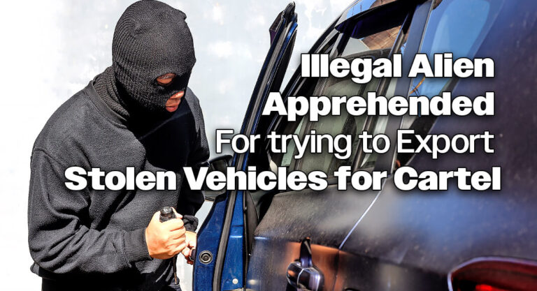 Illegal Alien Caught Attempting to Export Stolen Vehicles for Cartel