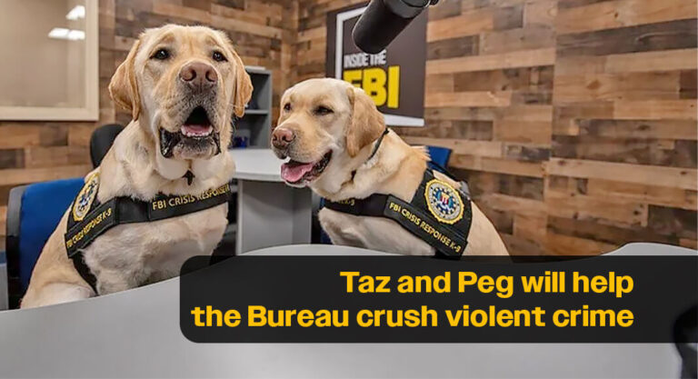 Meet the FBI’s Newest Class of Crisis Response Canines