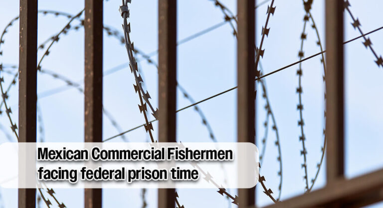 Mexican Commercial Fishermen Plead Guilty to Illegal Red Snapper Harvesting