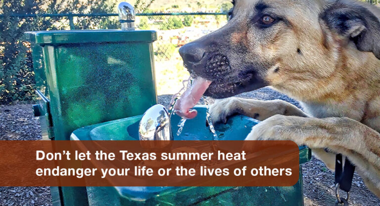 Seven Heat Safety Tips to Protect You from the Texas Summer Heat