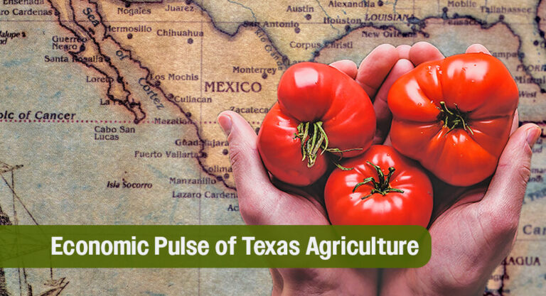 Texas Pushes to Preserve Cross-Border Tomato Trade Amid National Debate
