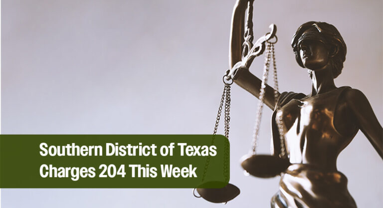 Southern District of Texas charges 204 this week alone in relation to border enforcement efforts