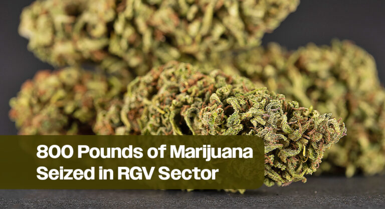 RGV Sector Agents Seize 800 Pounds of Narcotics in Four Days