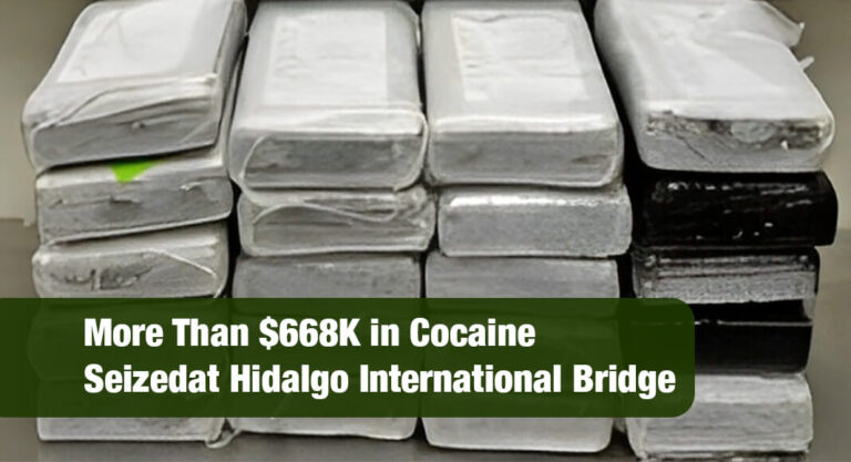 CBP Seizes More Than $668K in Cocaine at Hidalgo International Bridge