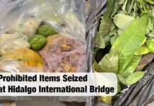 $300 Penalty Issued for Prohibited Items at Hidalgo International Bridge