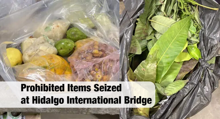 $300 Penalty Issued for Prohibited Items at Hidalgo International Bridge