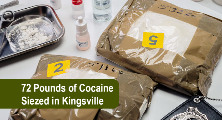 Agents seize over $2M of cocaine at Javier Vega Jr. Checkpoint