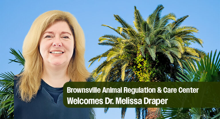 Brownsville Animal Regulation & Care Center Welcomes New Senior Veterinarian