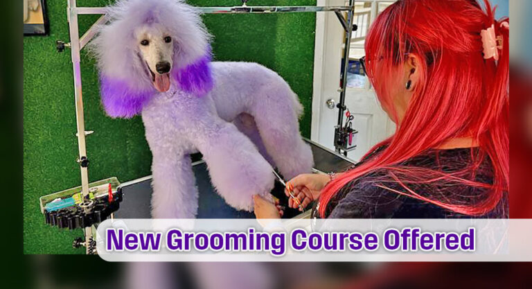 STC Introduces New Professional Dog Grooming Program 