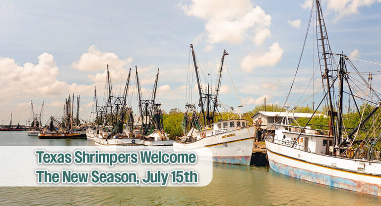 Texas Shrimpers Welcome Season with Boost from New State Law