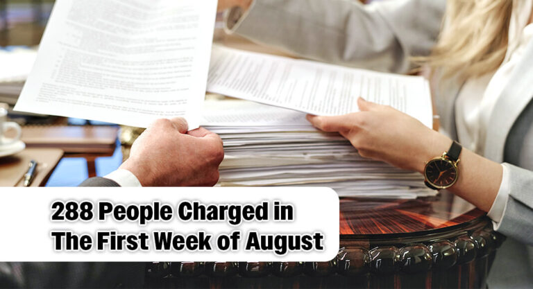 288 People Charged in First Week of August in Relation to Border Enforcement Efforts